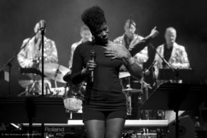Live in the City-L'Usine à jazz - La Vence scène - Photos Dan Berilloux (10)